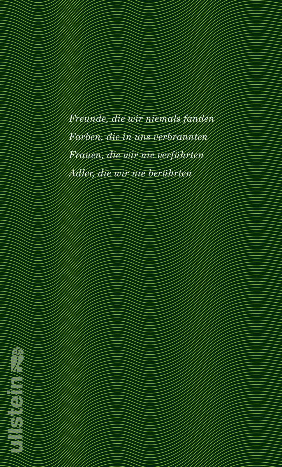 Buchrückseite von 'Das leise Lachen am Ohr eines andern' mit Klappentext - Taschenbuch