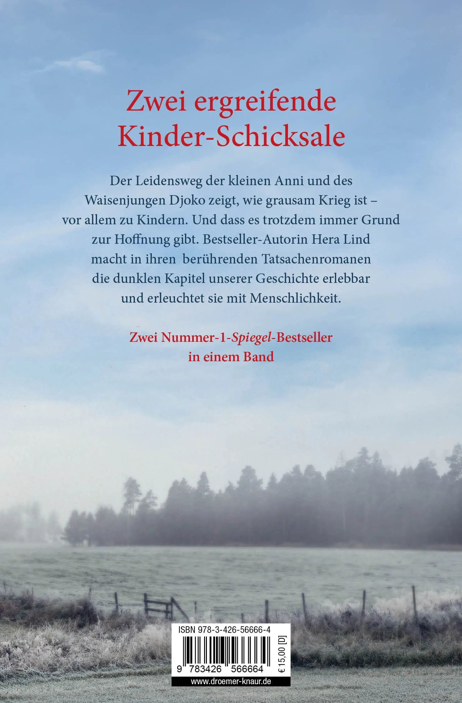 Buchrückseite von 'Das letzte Versprechen + Das einzige Kind' mit Klappentext - Taschenbuch