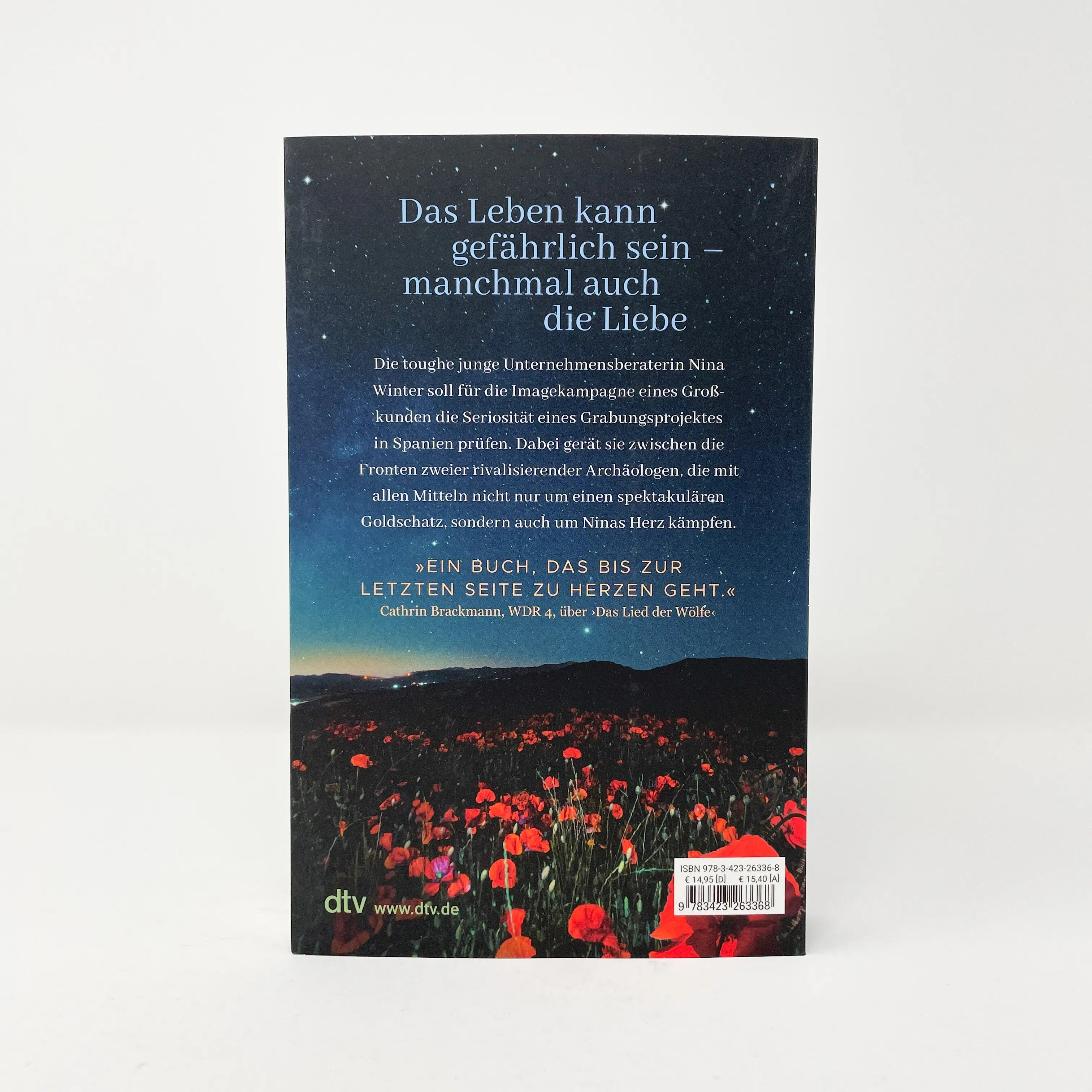 Rena Fischer - Das Leuchten vergangener Sterne