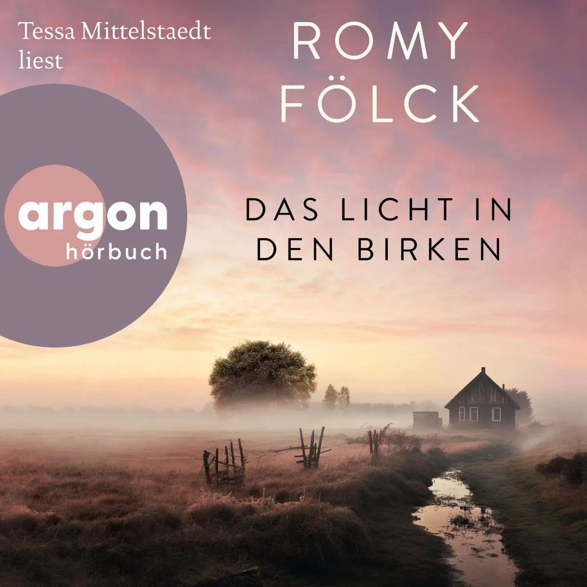 Cover: Das Licht in den Birken (Hörbuch Download) von Romy Fölck