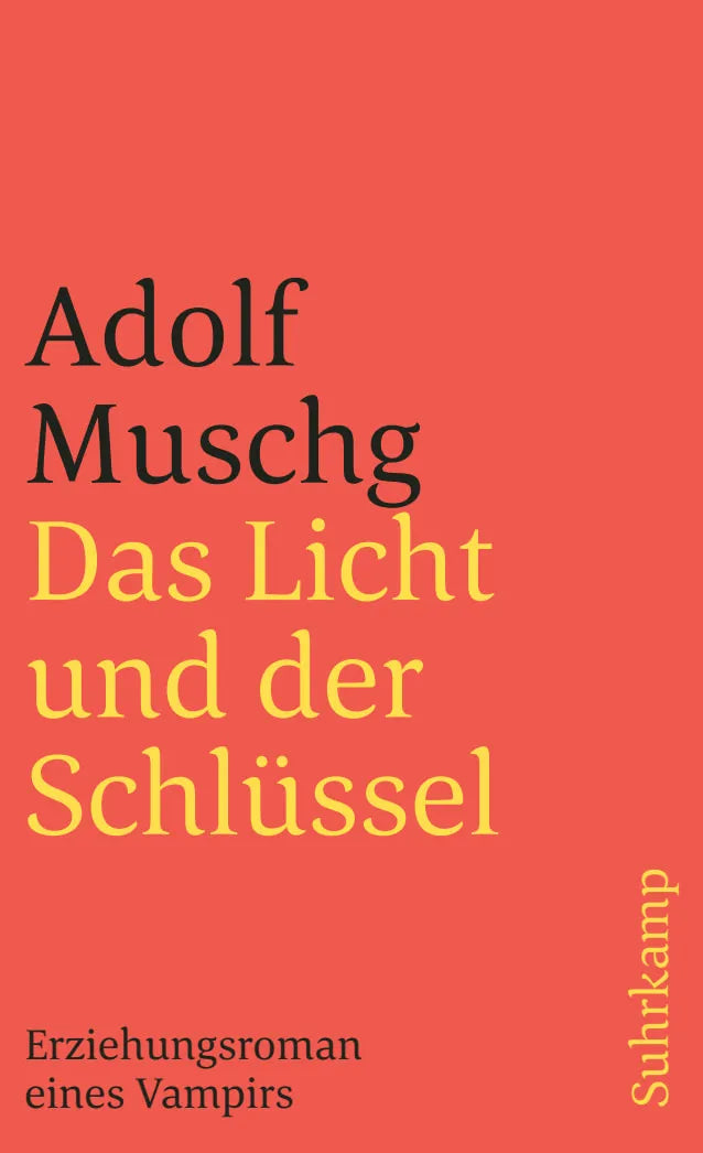 Buchcover von 'Das Licht und der Schlüssel' - Taschenbuch von Adolf Muschg