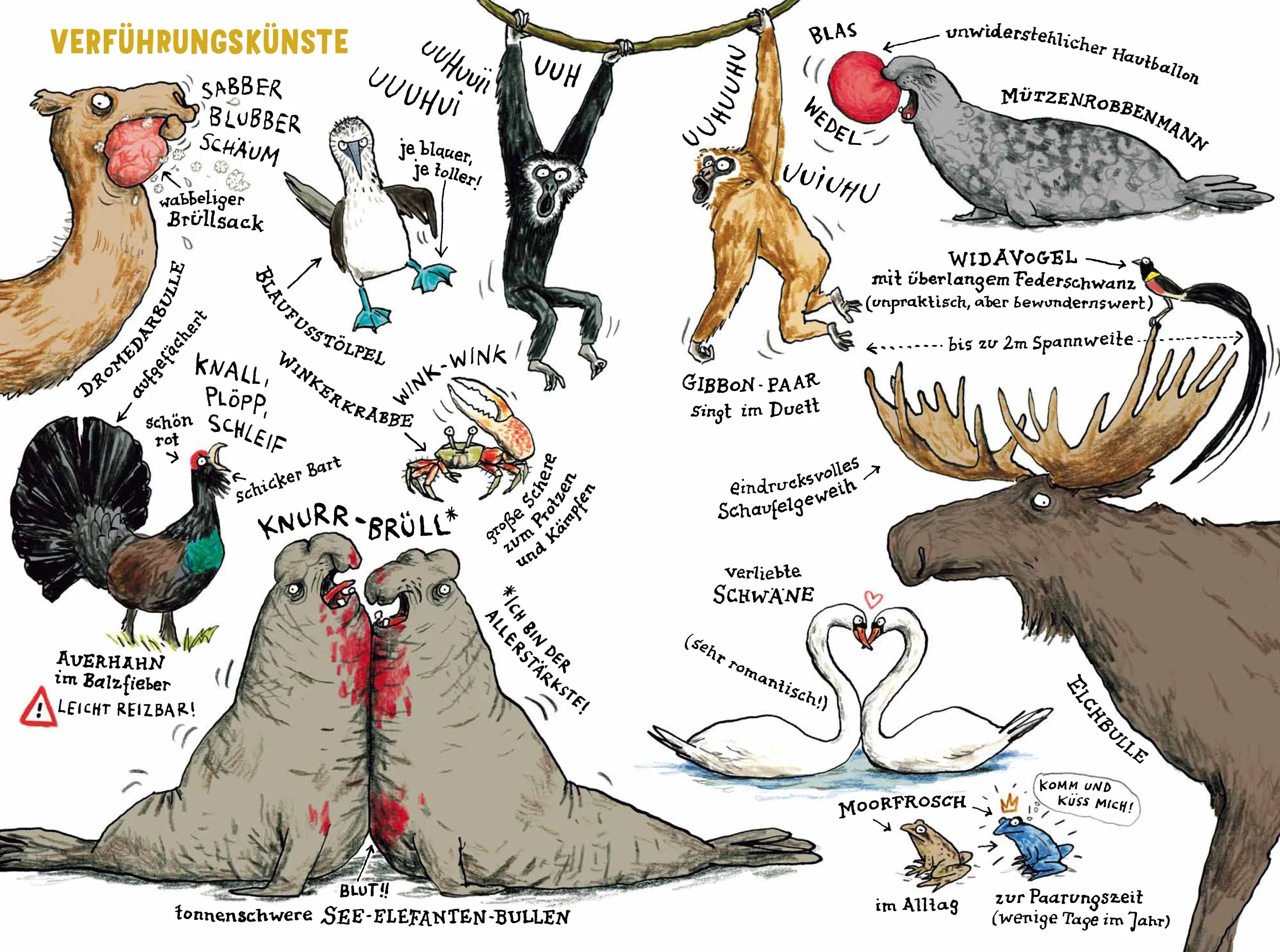 Produktansicht: Das Liebesleben der Tiere (Gebundene Ausgabe)