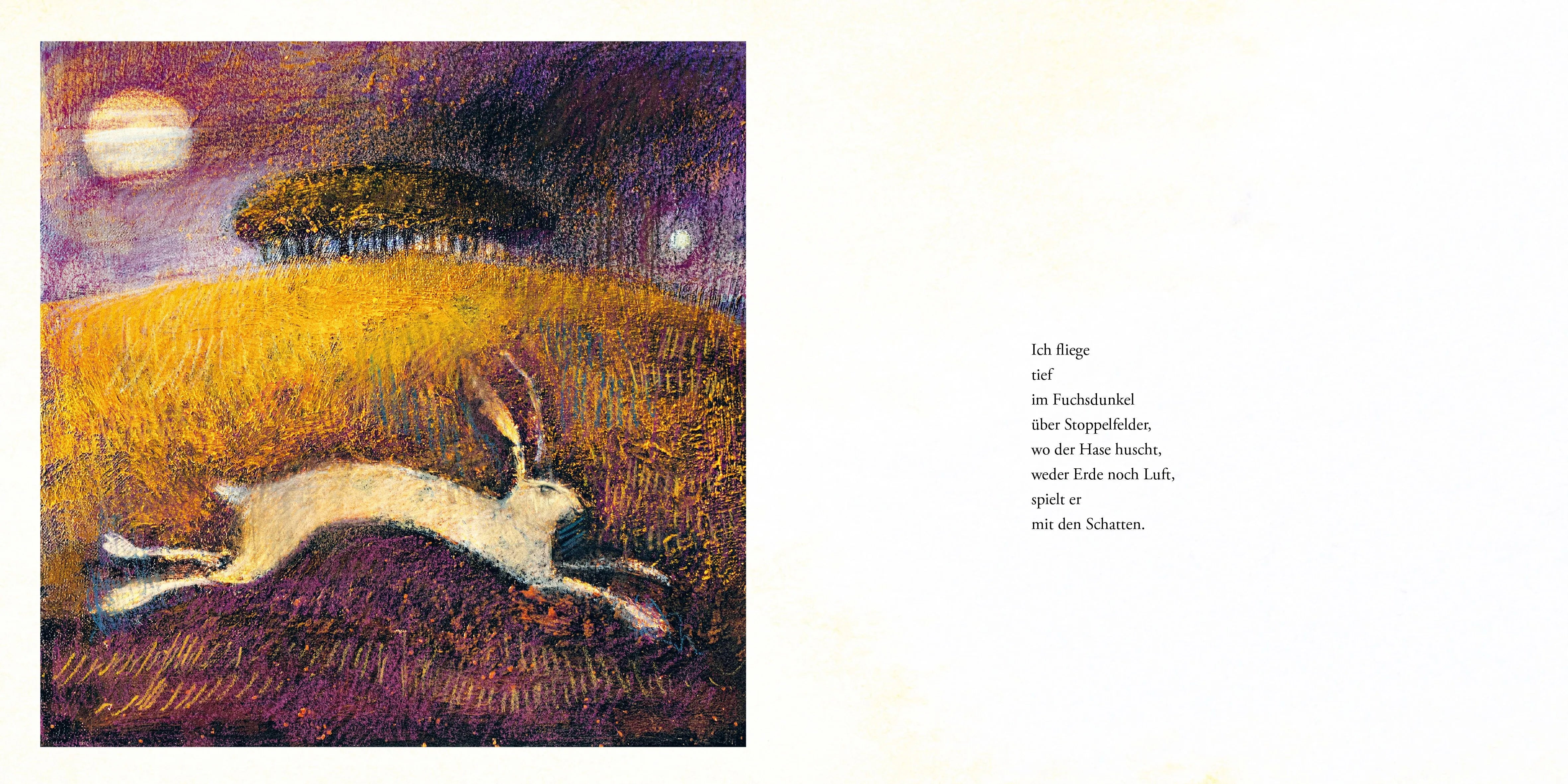 Detailansicht: Das Lied der Eule (Hardcover)