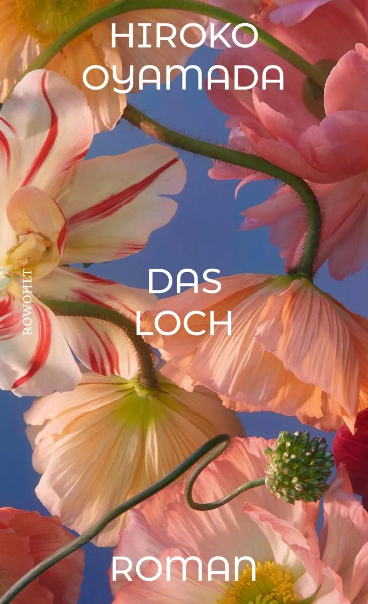 Cover: Das Loch (E-Book) von Hiroko Oyamada