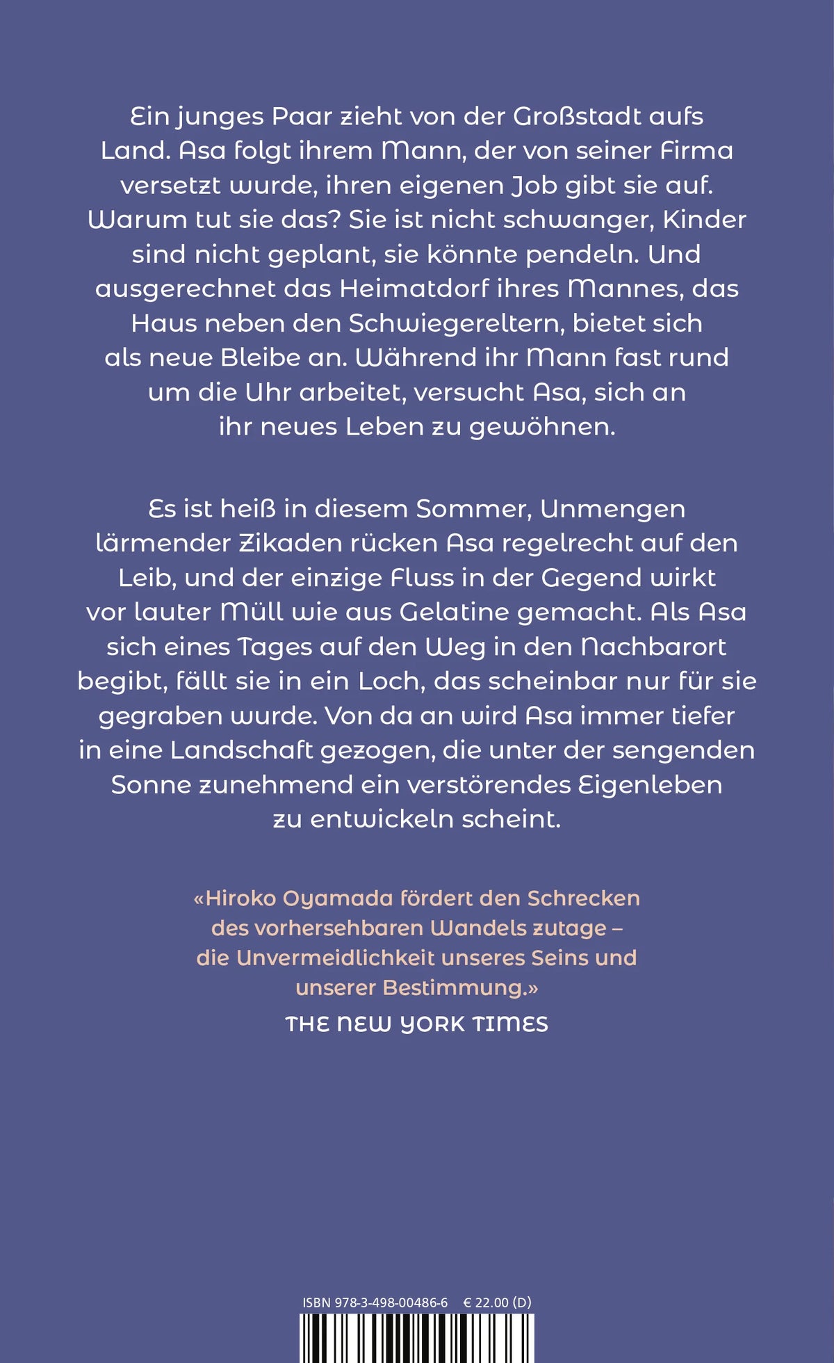 Buchrückseite von 'Das Loch' mit Klappentext - Gebundene Ausgabe