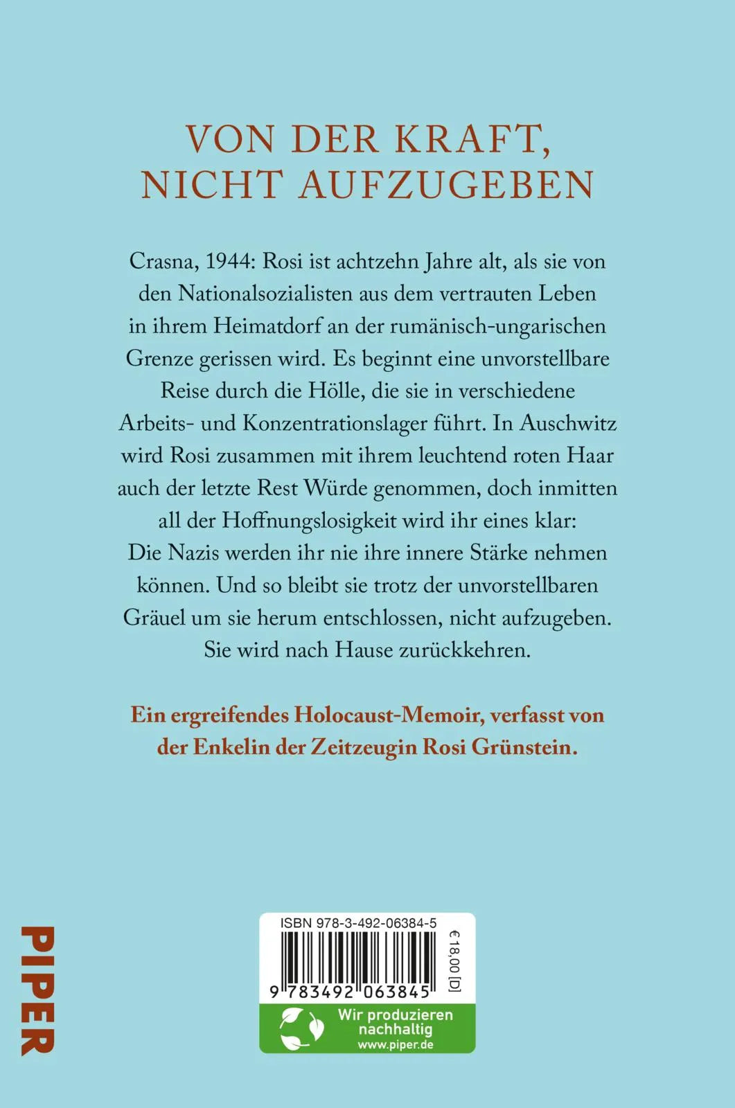 Buchrückseite von 'Das Mädchen mit dem roten Zopf' mit Klappentext - Paperback