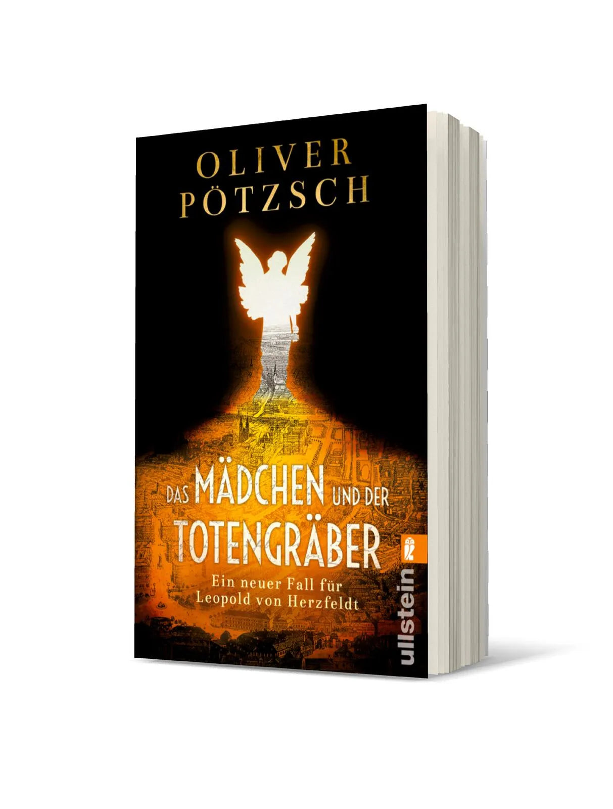 Produktansicht: Das Mädchen und der Totengräber (Taschenbuch)