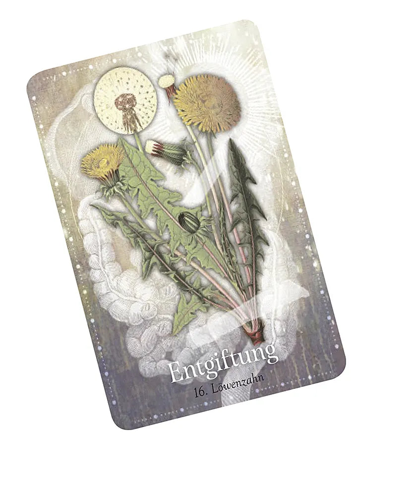 Cheralyn Darcey - Das magische Orakel der Heilpflanzen