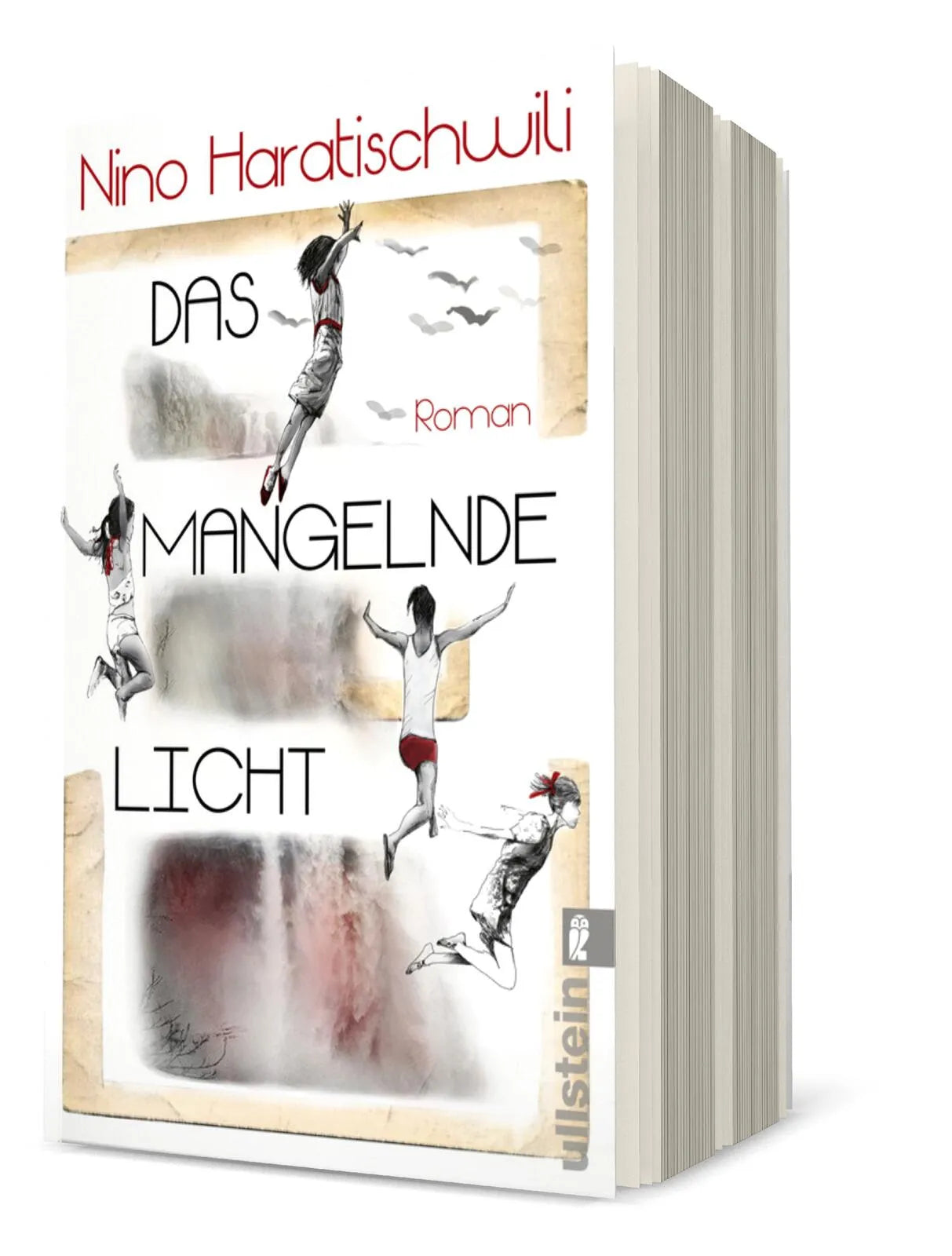 Produktansicht: Das mangelnde Licht (Taschenbuch)