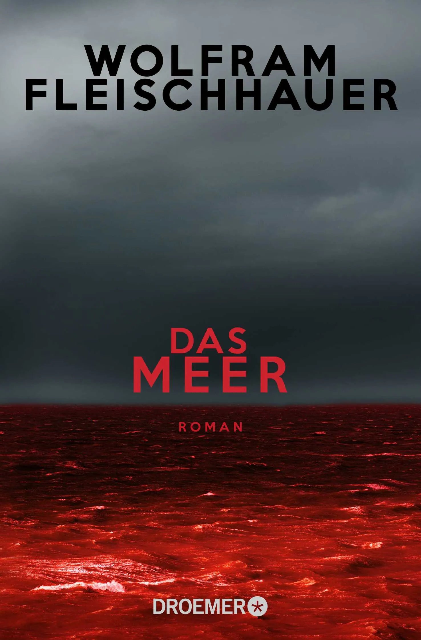 Buchcover von 'Das Meer' - Taschenbuch von Wolfram Fleischhauer