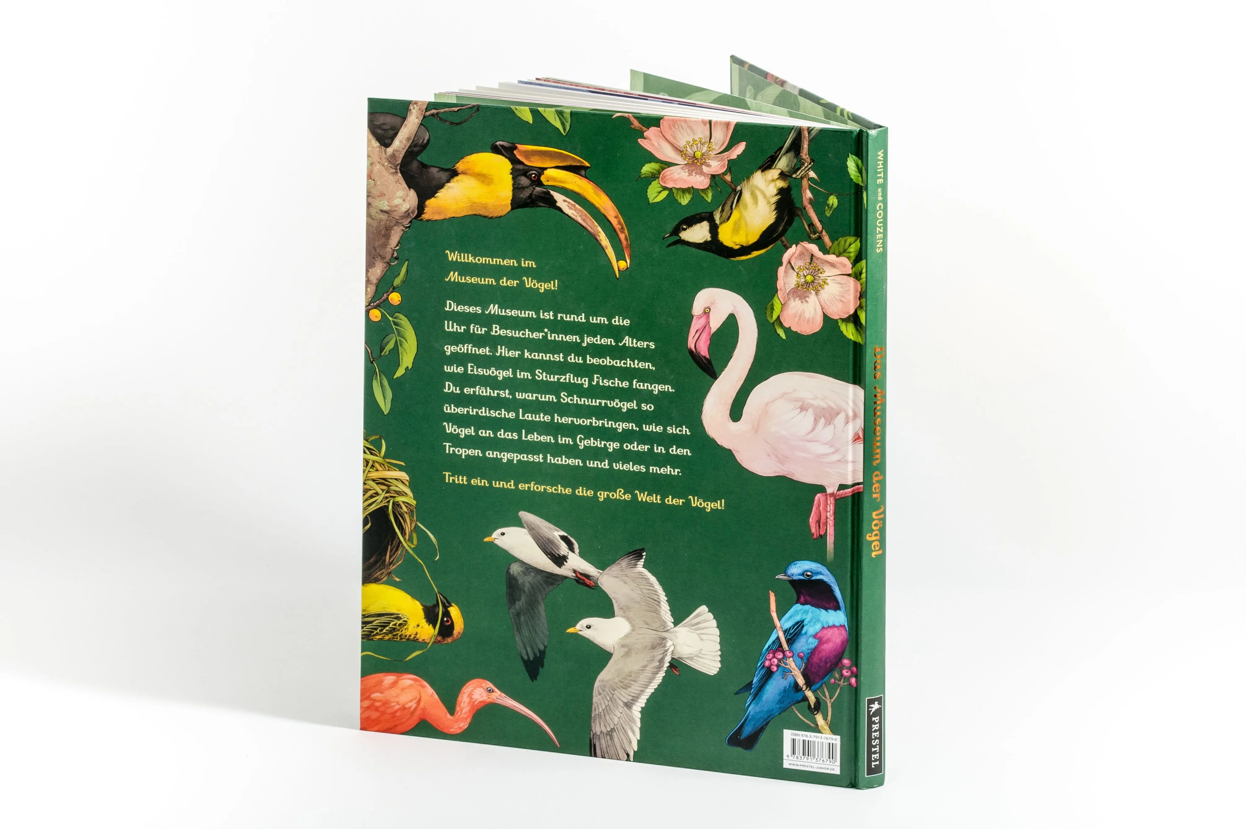Detailansicht: Das Museum der Vögel (Hardcover)