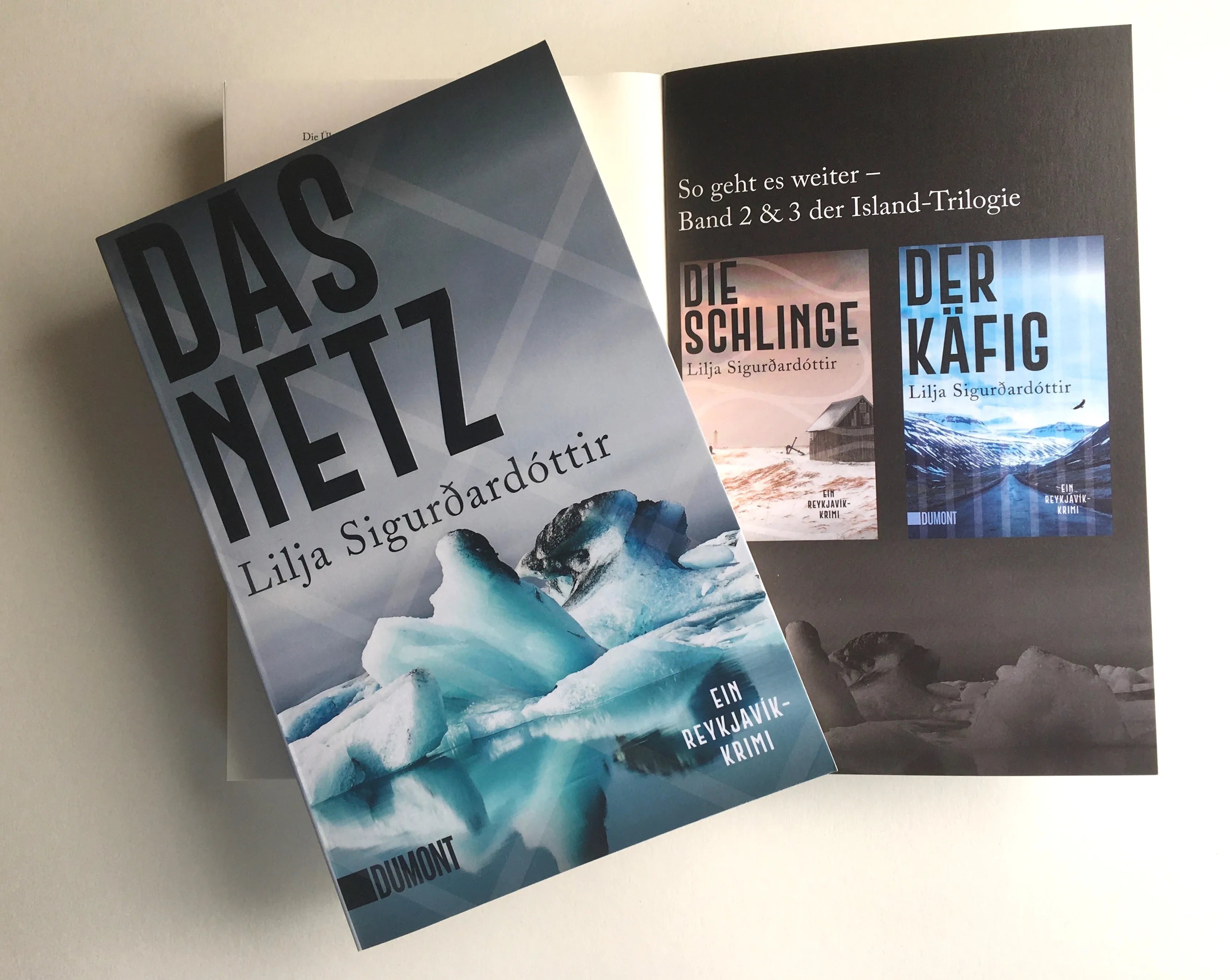 Produktansicht: Das Netz (Taschenbuch)