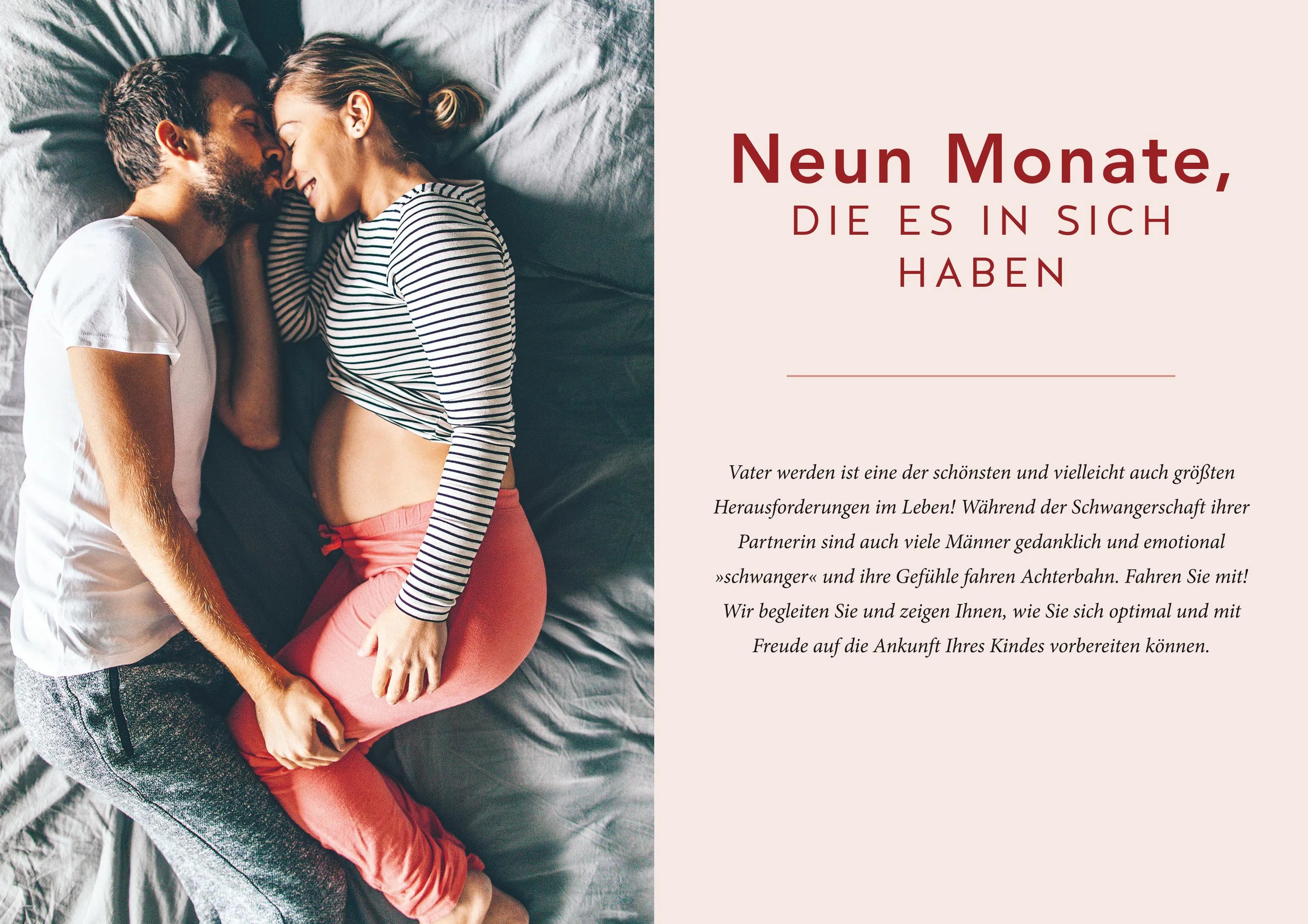Abbildung von 'Das Papa-Handbuch'