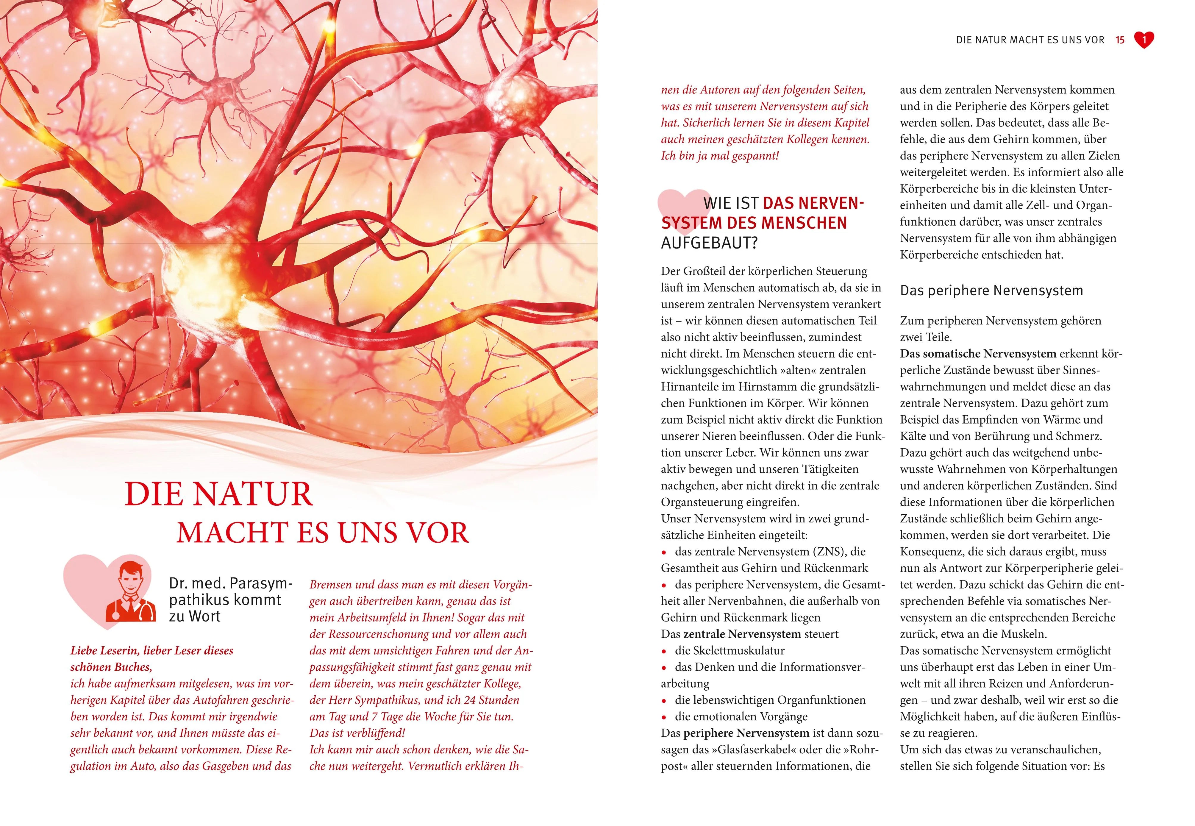 Produktansicht: Das Parasympathikus-Prinzip (Taschenbuch)