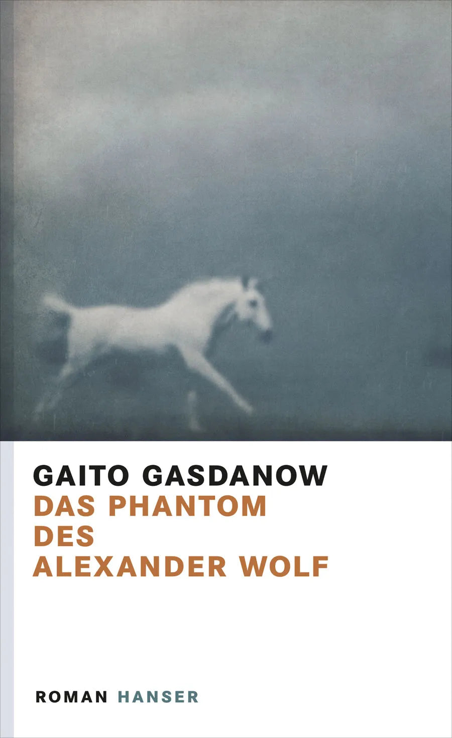 Buchcover von 'Das Phantom des Alexander Wolf' - Gebundene Ausgabe von Gaito Gasdanow