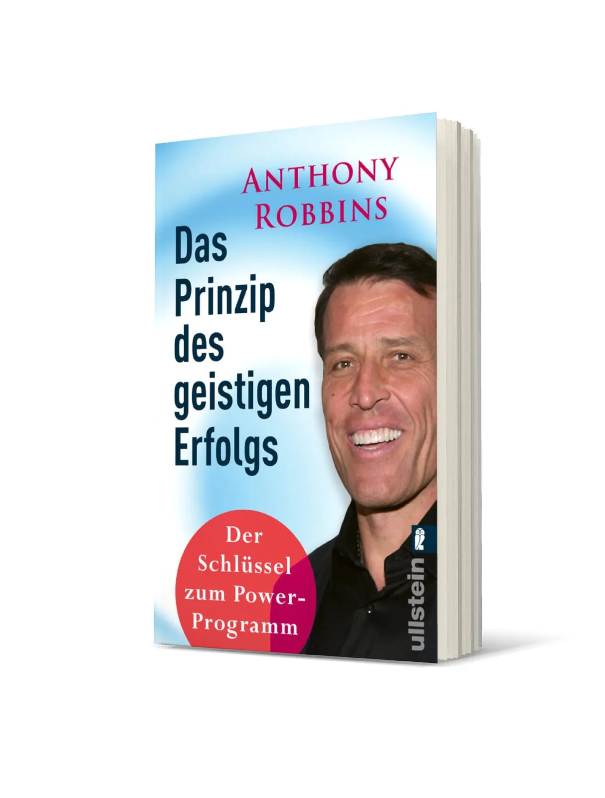 Produktansicht: Das Prinzip des geistigen Erfolgs (Taschenbuch)