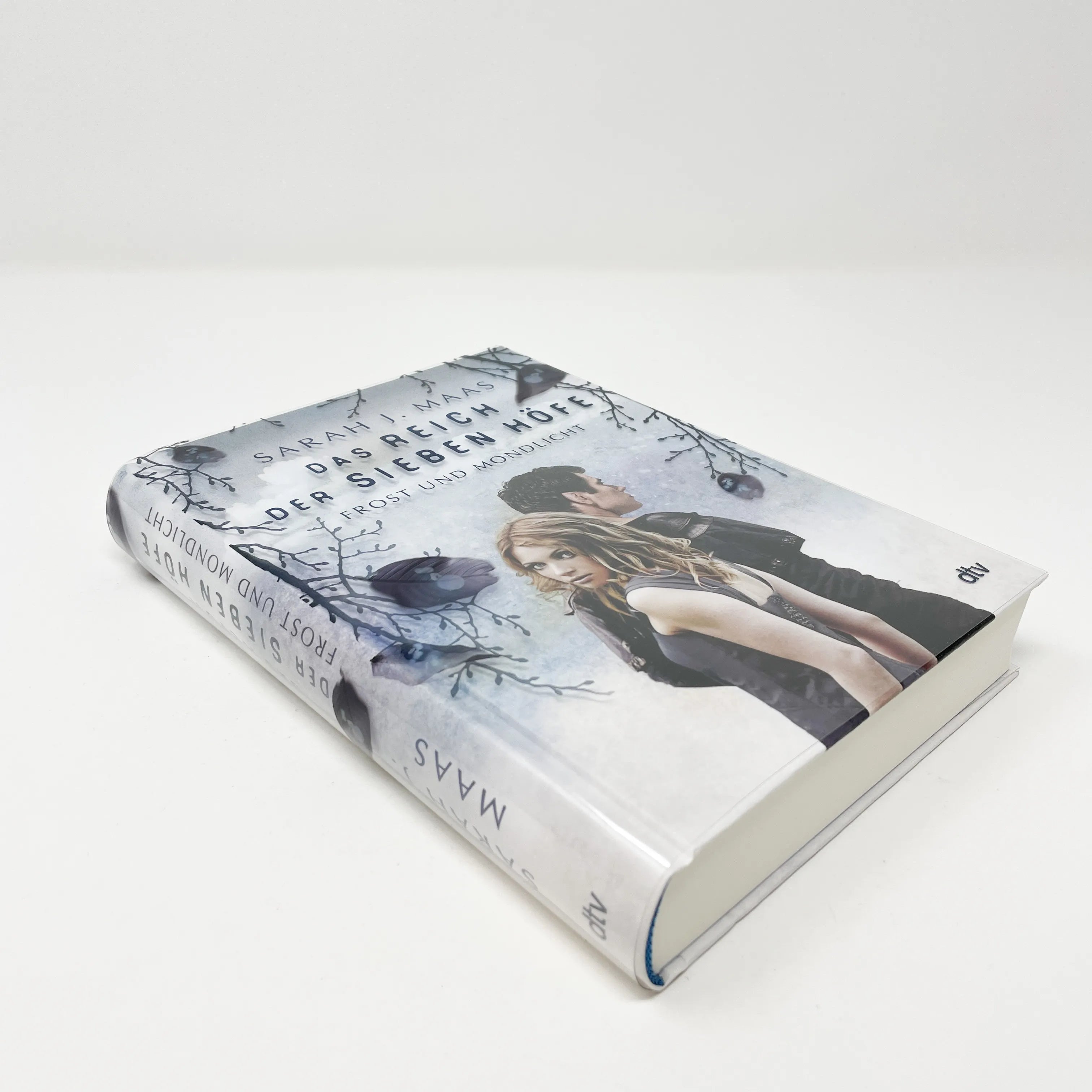 Produktansicht: Das Reich der sieben Höfe – Frost und Mondlicht (Gebundene Ausgabe)