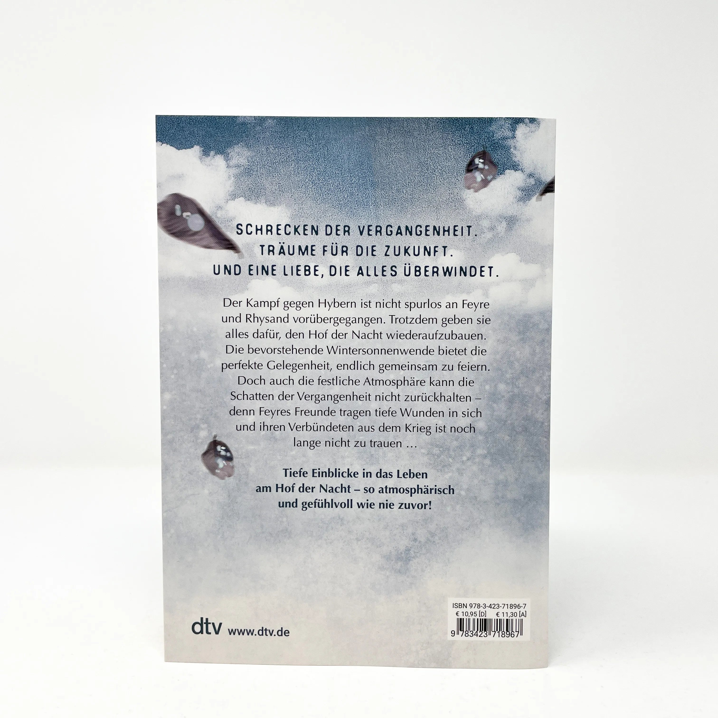 Detailansicht: Das Reich der sieben Höfe – Frost und Mondlicht (Taschenbuch)