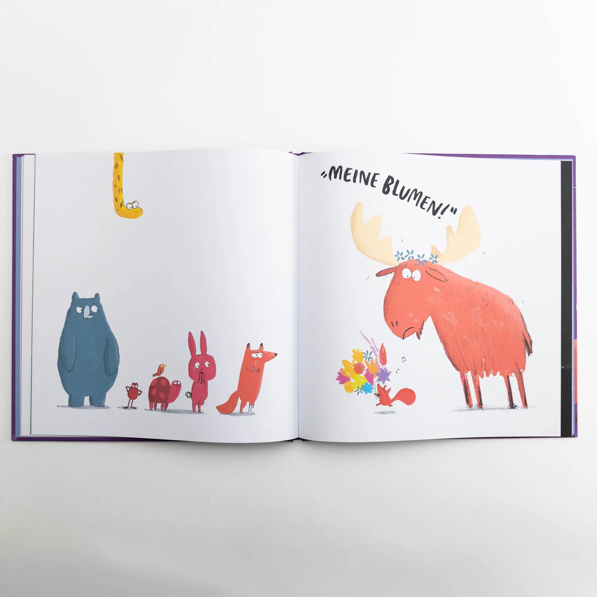 Produktansicht: Das Reichhörnchen (Gebundene Ausgabe)
