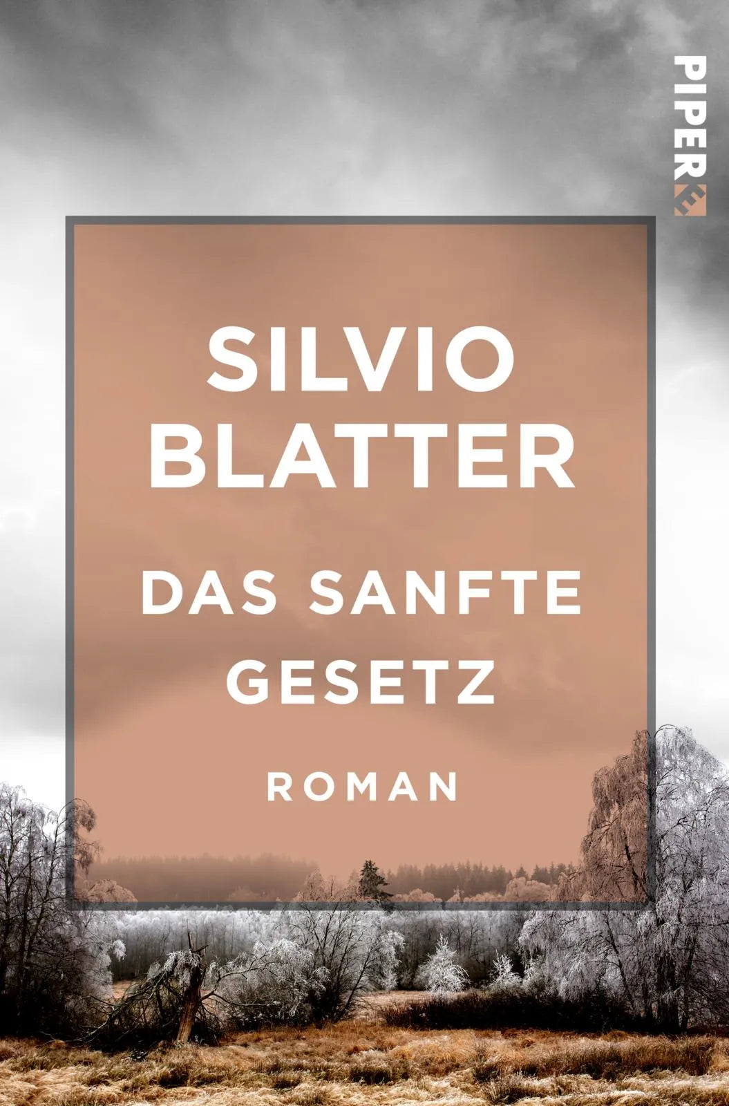 Buchcover von 'Das sanfte Gesetz' - Taschenbuch von Silvio Blatter