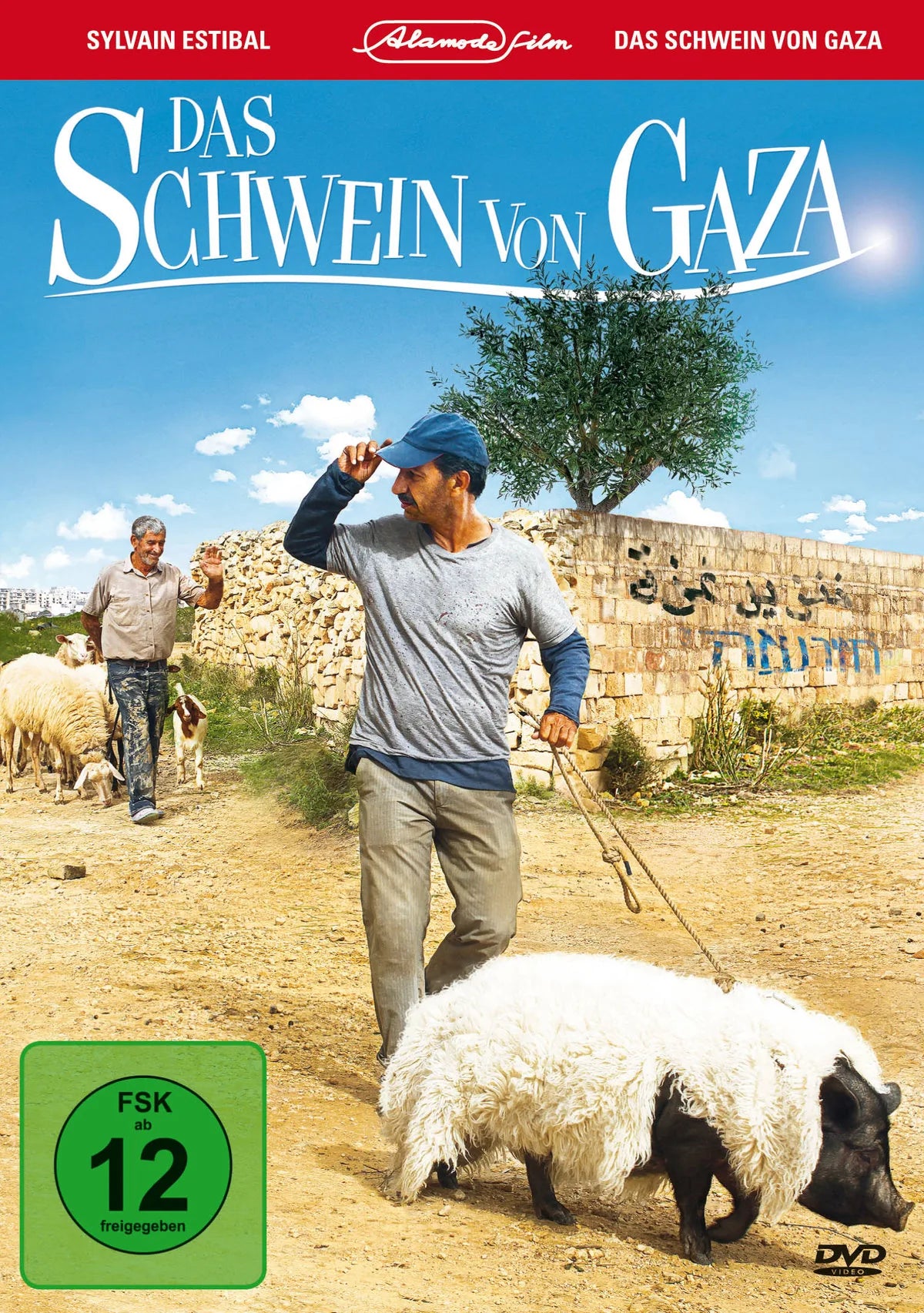 Das Schwein von Gaza - DVD