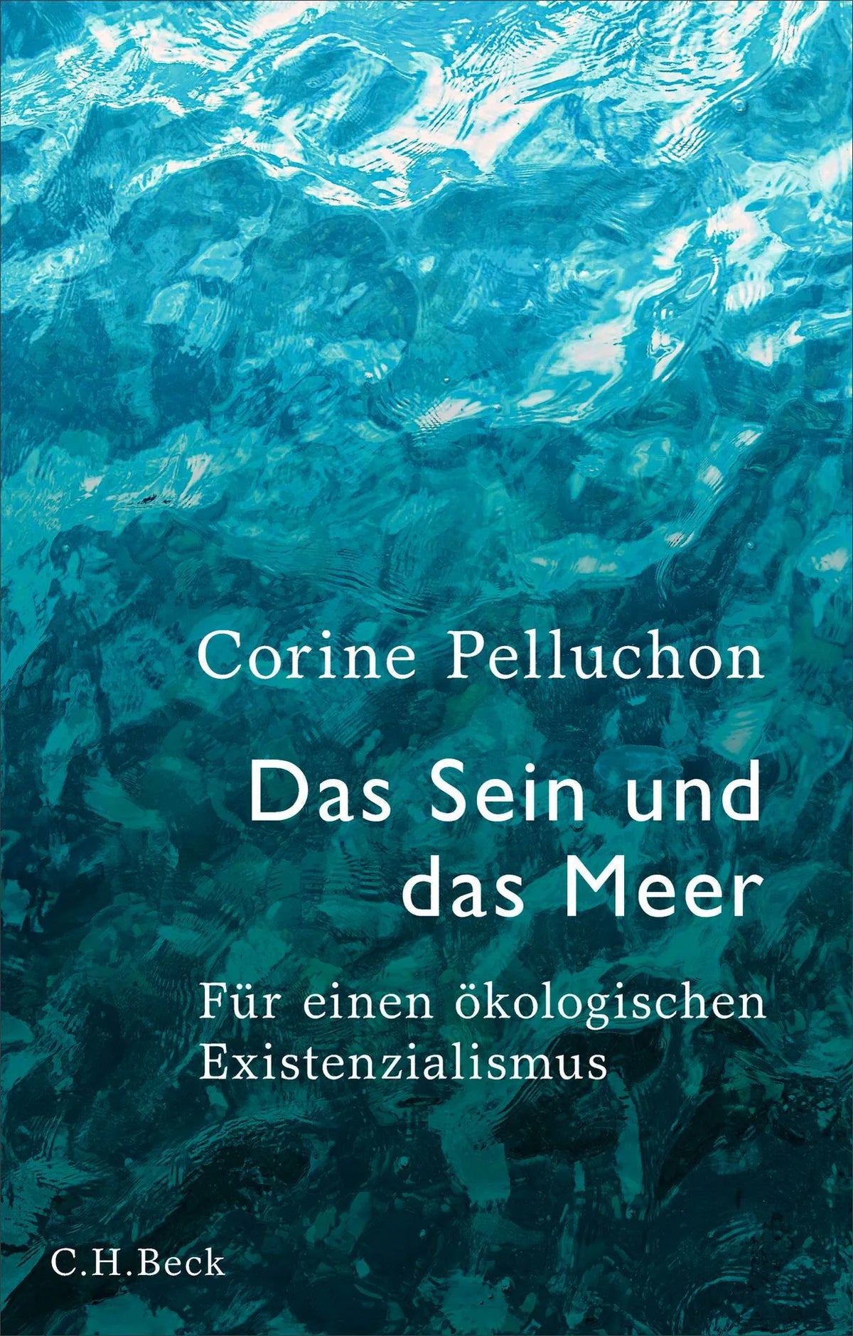 Cover: Das Sein und das Meer (Hardcover) von Corine Pelluchon