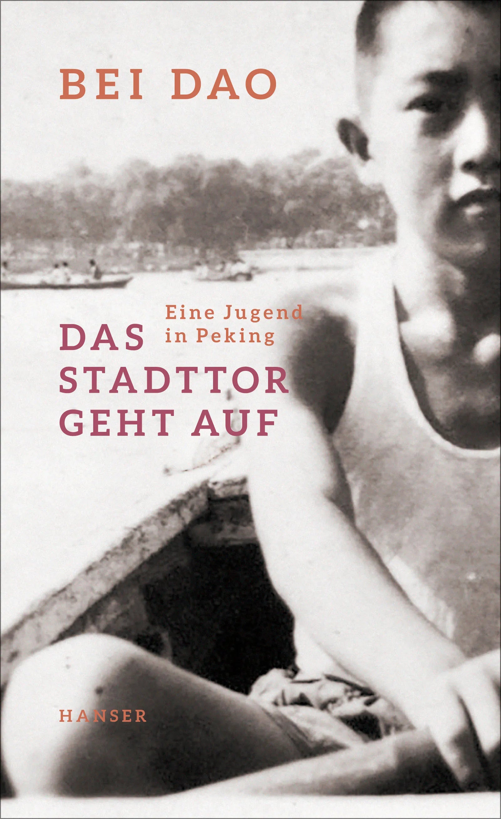 Buchcover von 'Das Stadttor geht auf' - Gebundene Ausgabe von Bei Dao