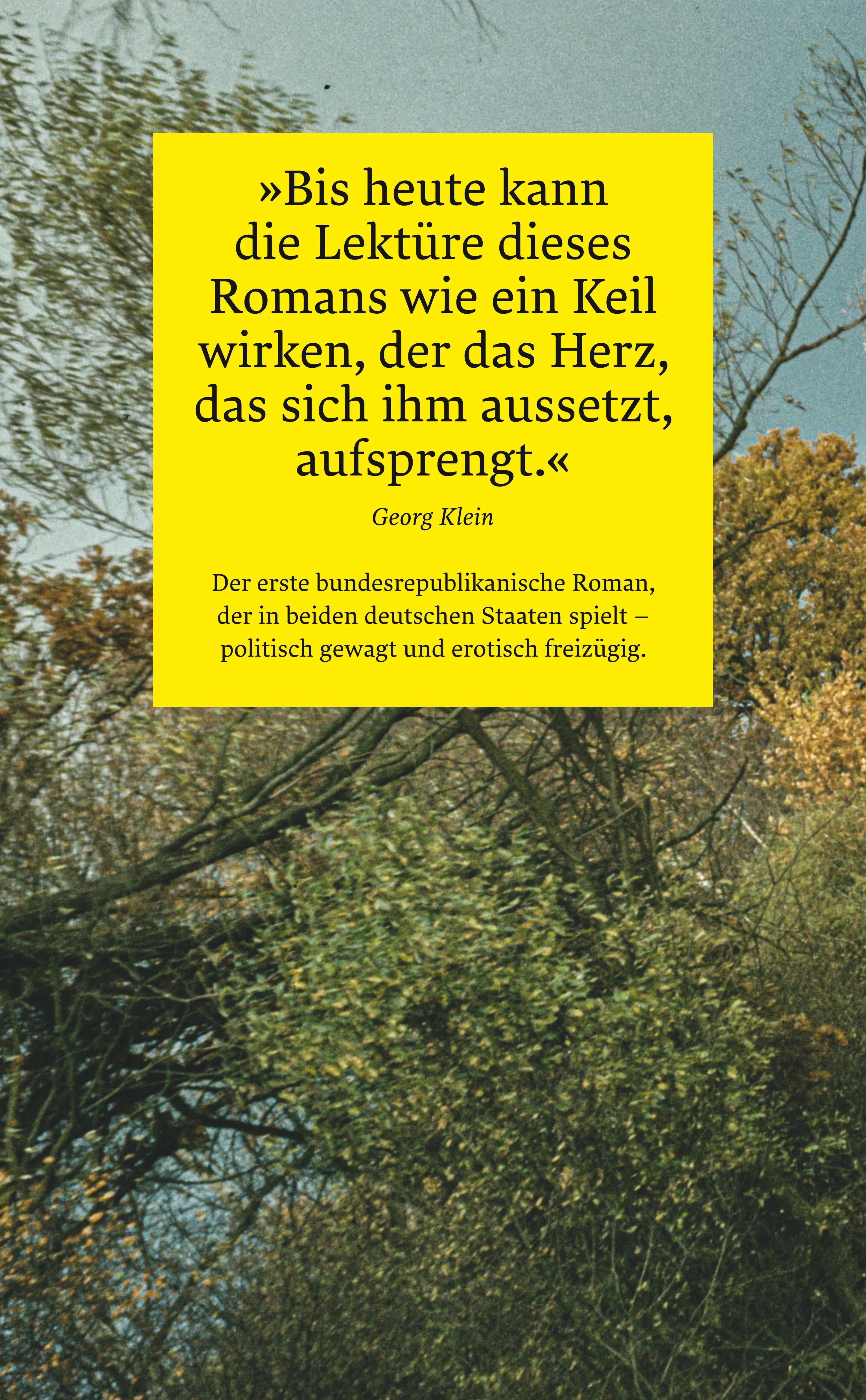 Buchrückseite von 'Das steinerne Herz' mit Klappentext - Taschenbuch