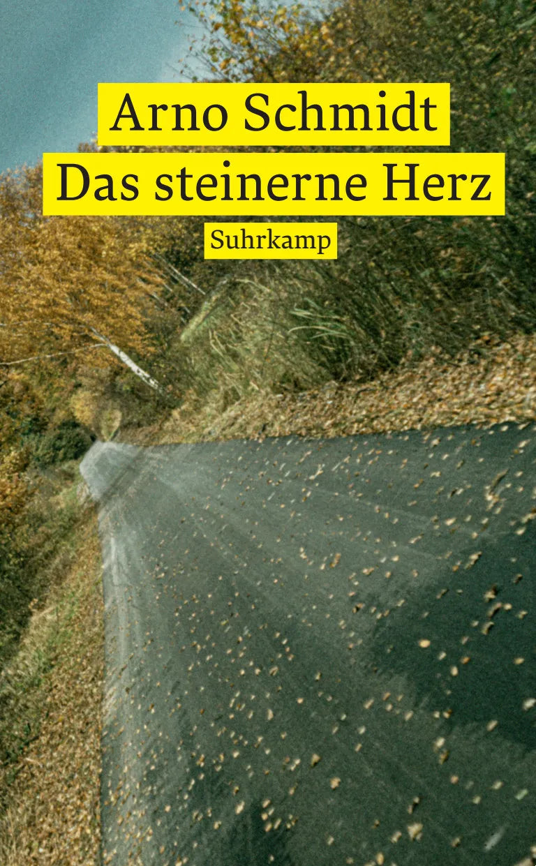 Buchcover von 'Das steinerne Herz' - Taschenbuch von Arno Schmidt