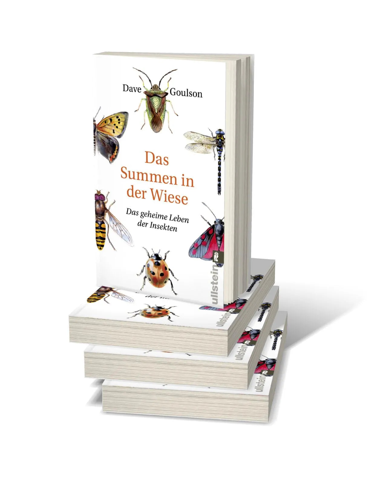 Produktansicht: Das Summen in der Wiese (Taschenbuch)