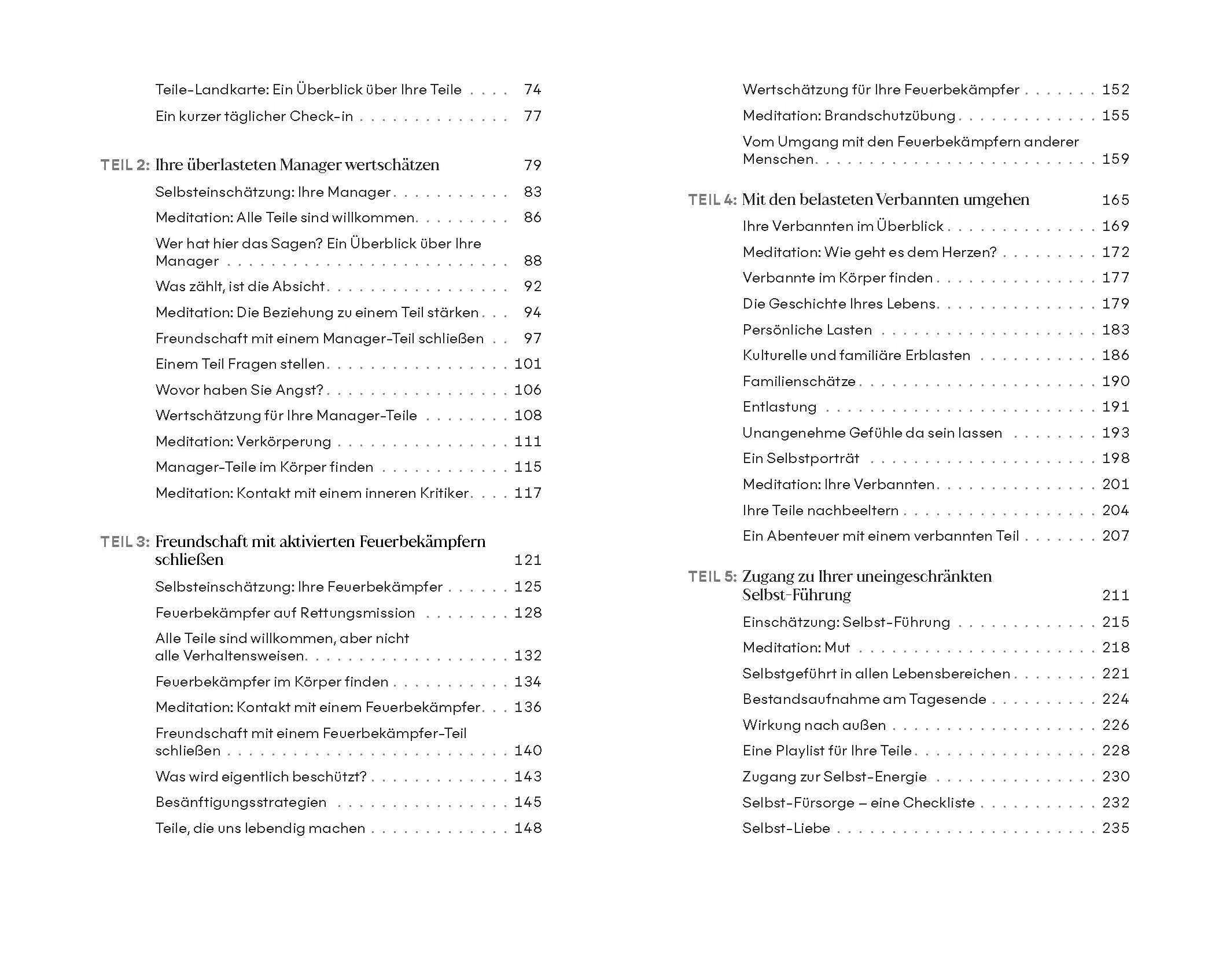Detailansicht: Das System der Inneren Familie verstehen – Arbeitsbuch (Hardcover)