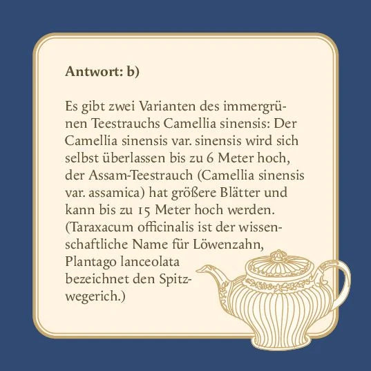 Das Tee-Quiz – Ansicht