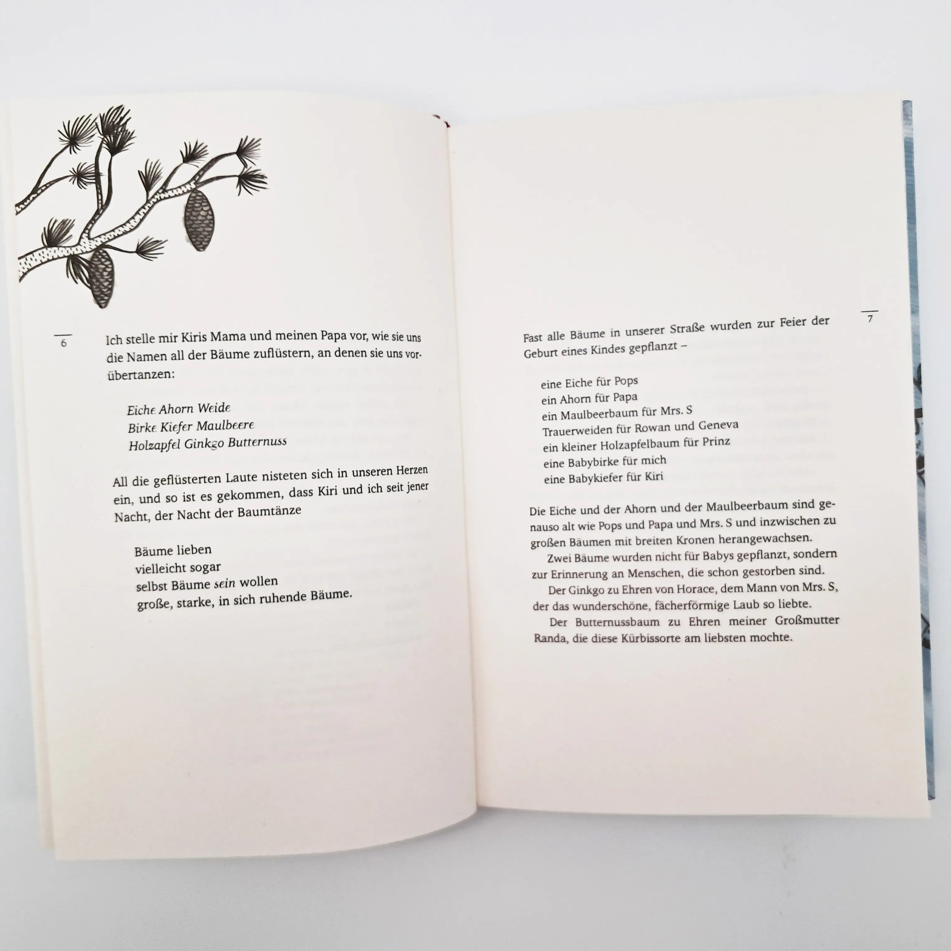 Produktansicht: Das Telefon in der Birke (Gebundene Ausgabe)