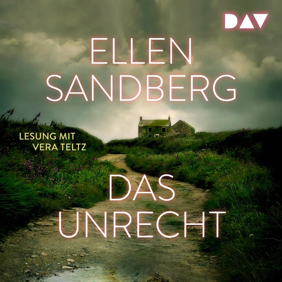 Cover: Das Unrecht (Hörbuch Download) von Ellen Sandberg