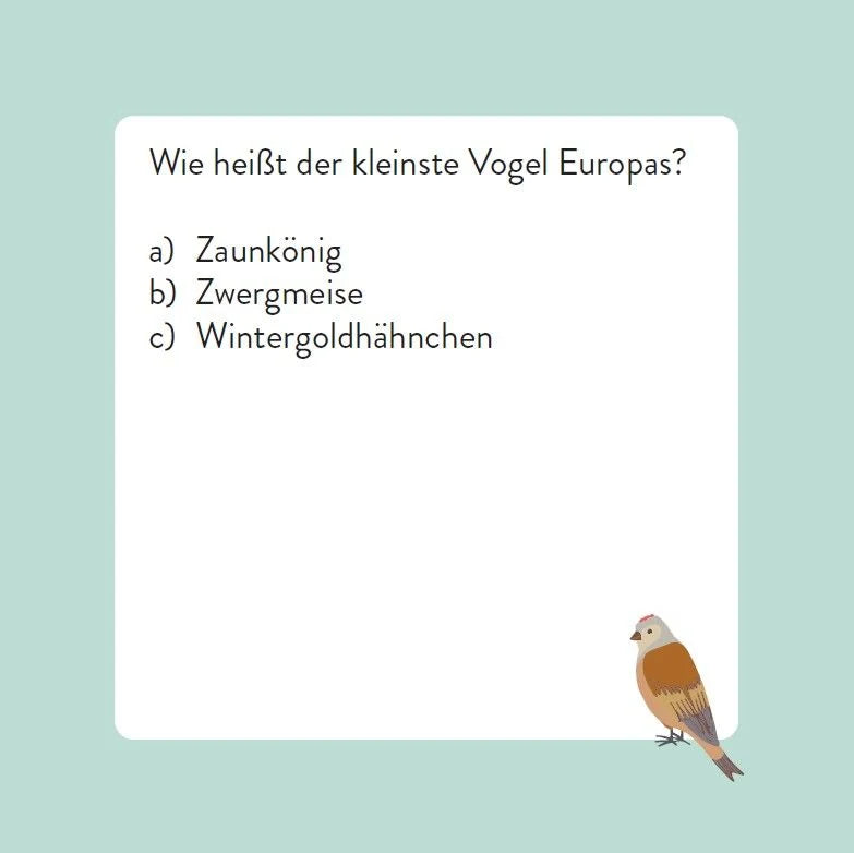 Das Vogel-Quiz – Ansicht
