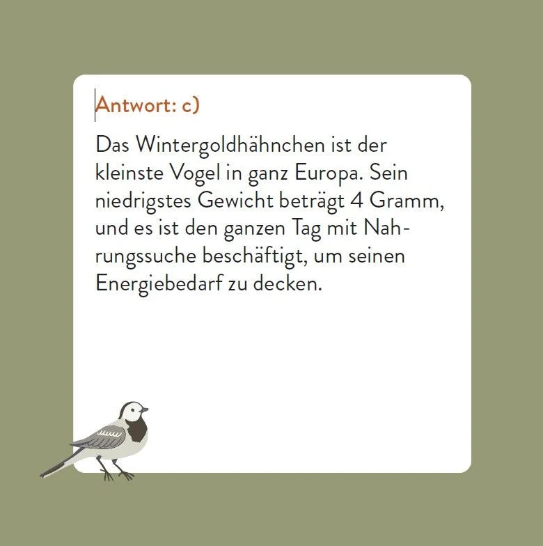Das Vogel-Quiz – Ansicht