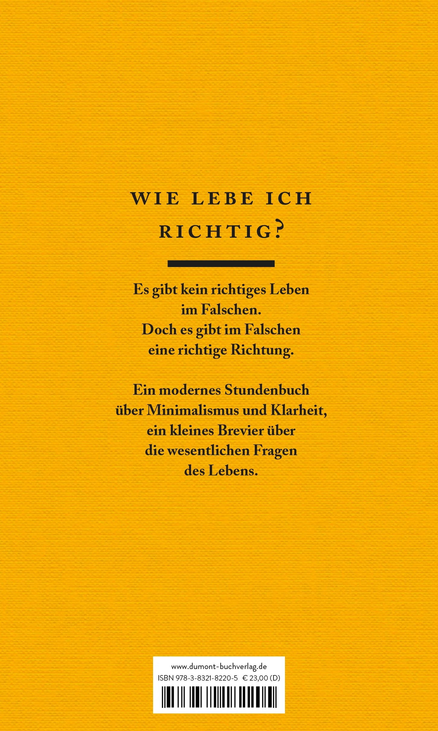 Buchrückseite von 'Das Wenige und das Wesentliche' mit Klappentext - Gebundene Ausgabe