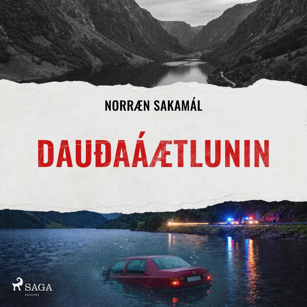 Cover: Dauðaáætlunin (Hörbuch Download) von Ýmsir