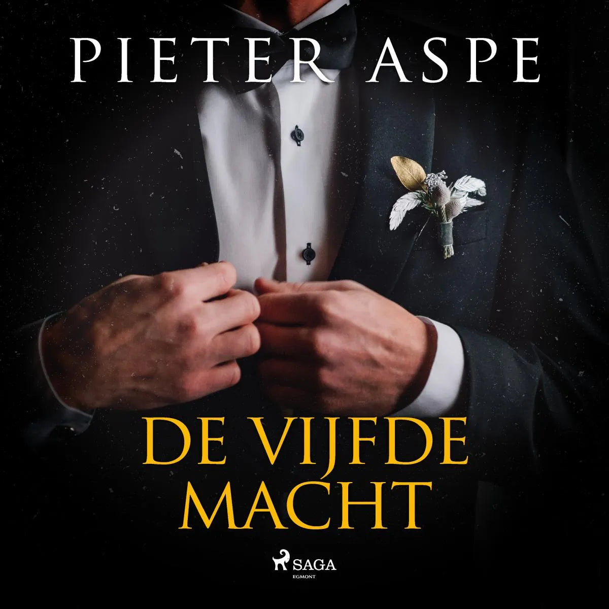 Cover: De vijfde macht (Hörbuch Download) von Pieter Aspe