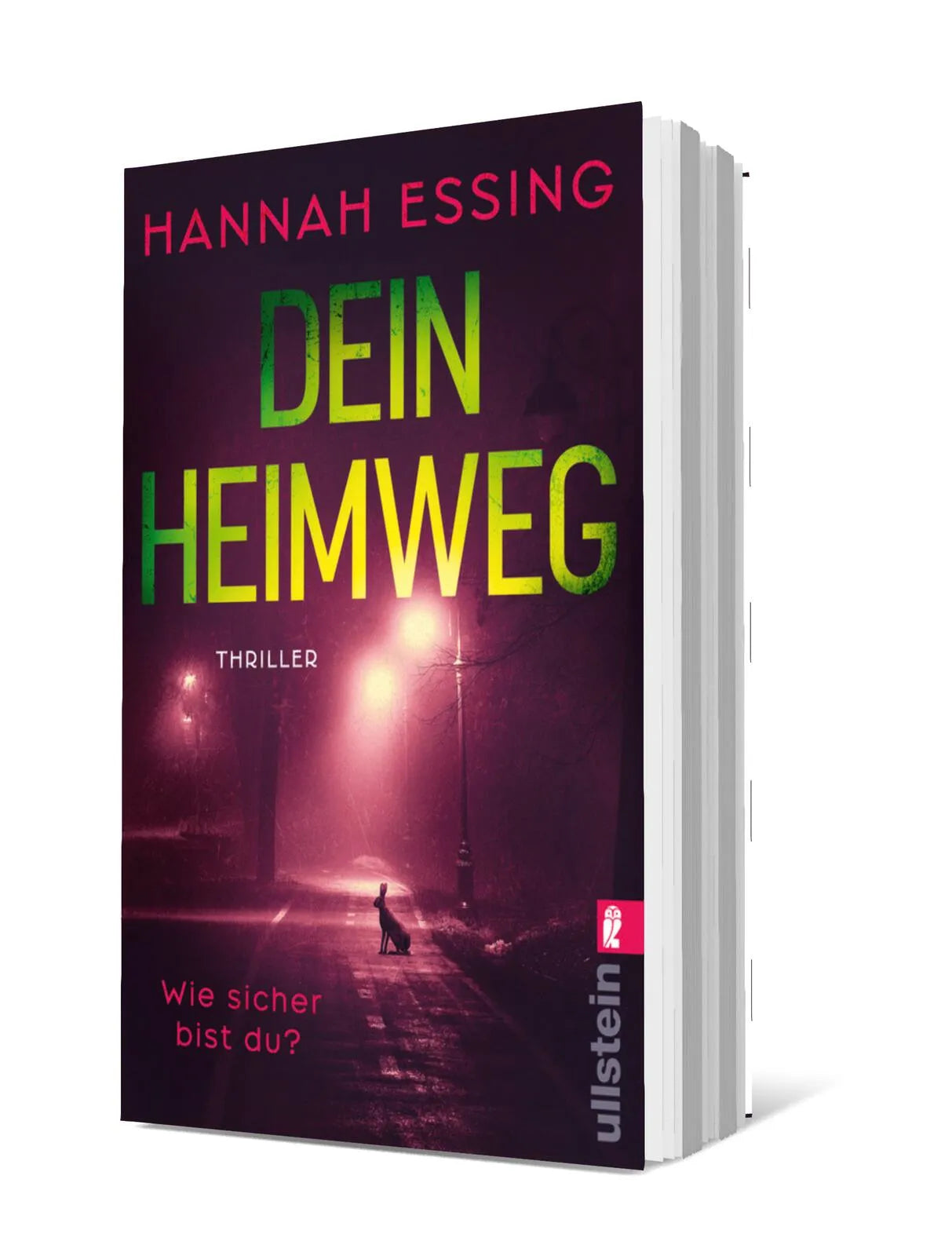 Produktansicht: Dein Heimweg (Taschenbuch)