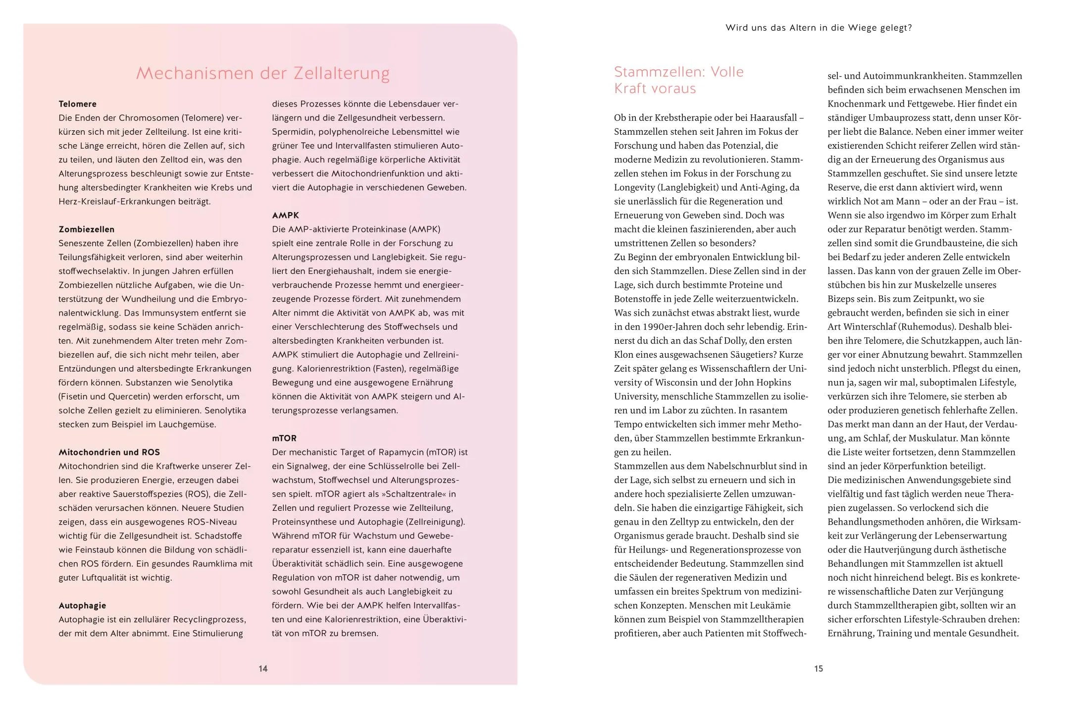 Produktansicht: Dein Verjüngungscode (Taschenbuch)