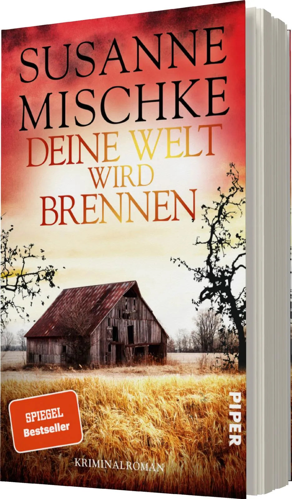 Susanne Mischke - Deine Welt wird brennen