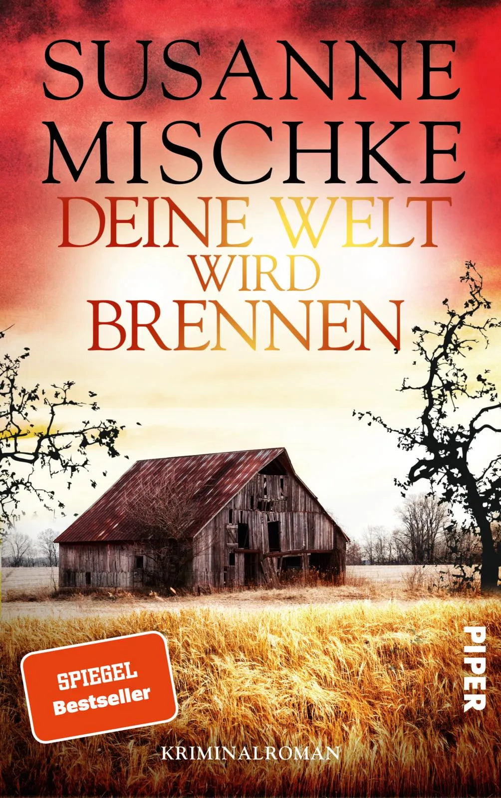 Buchcover von 'Deine Welt wird brennen' - Paperback von Susanne Mischke