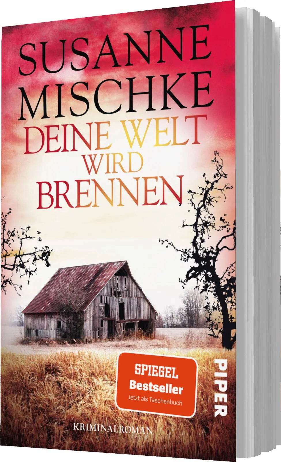 Detailansicht: Deine Welt wird brennen (Taschenbuch)