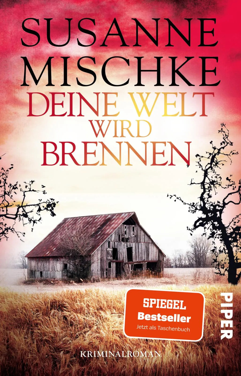 Cover: Deine Welt wird brennen (Taschenbuch) von Susanne Mischke
