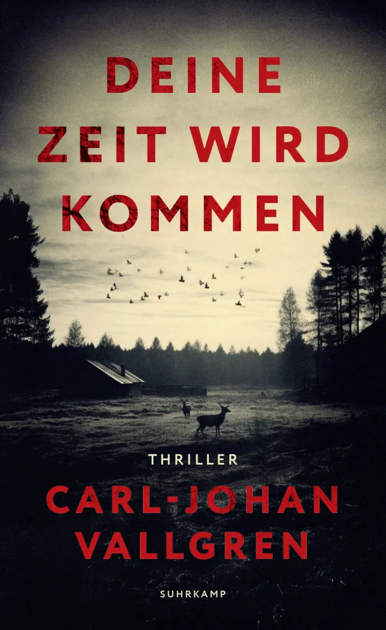 Cover: Deine Zeit wird kommen (Paperback) von Carl-Johan Vallgren