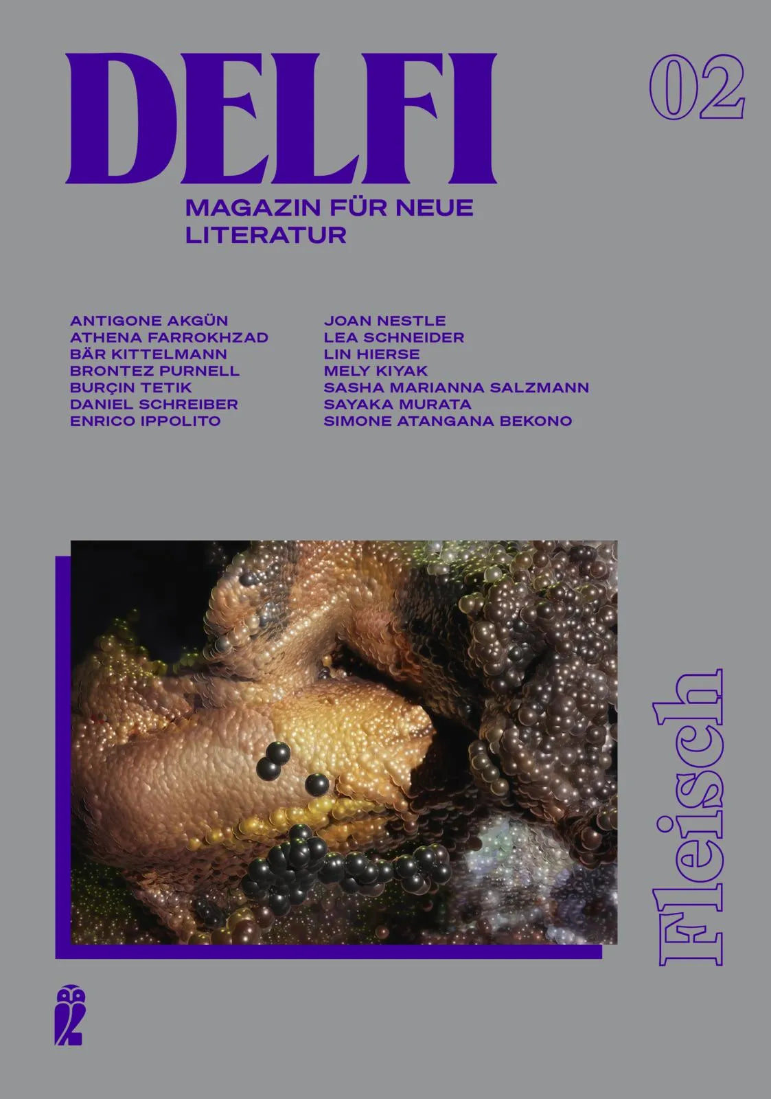Buchcover von 'Delfi Fleisch' - Taschenbuch von Daniel Schreiber