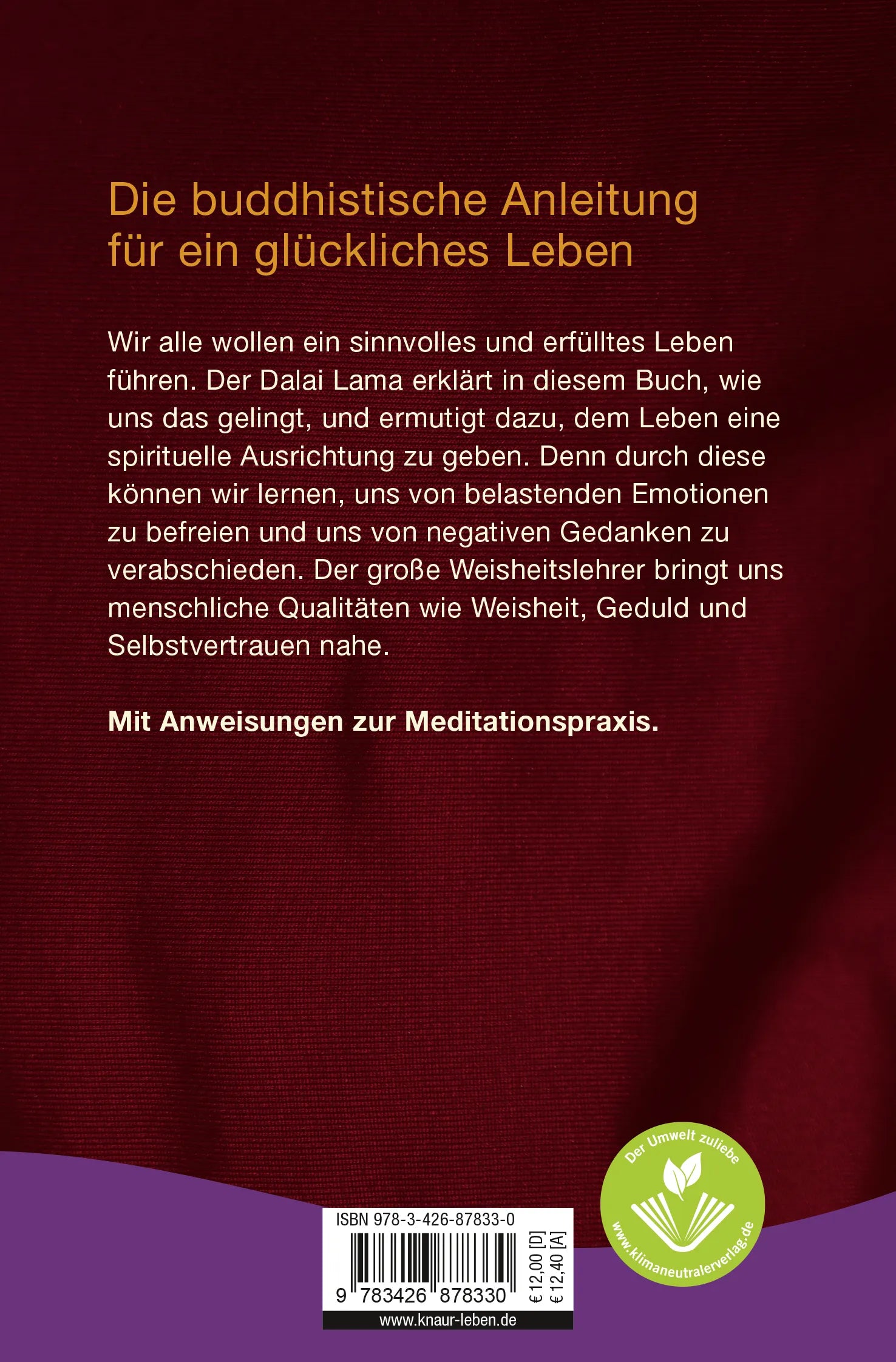 Buchrückseite von 'Dem Leben einen Sinn geben' mit Klappentext - Taschenbuch