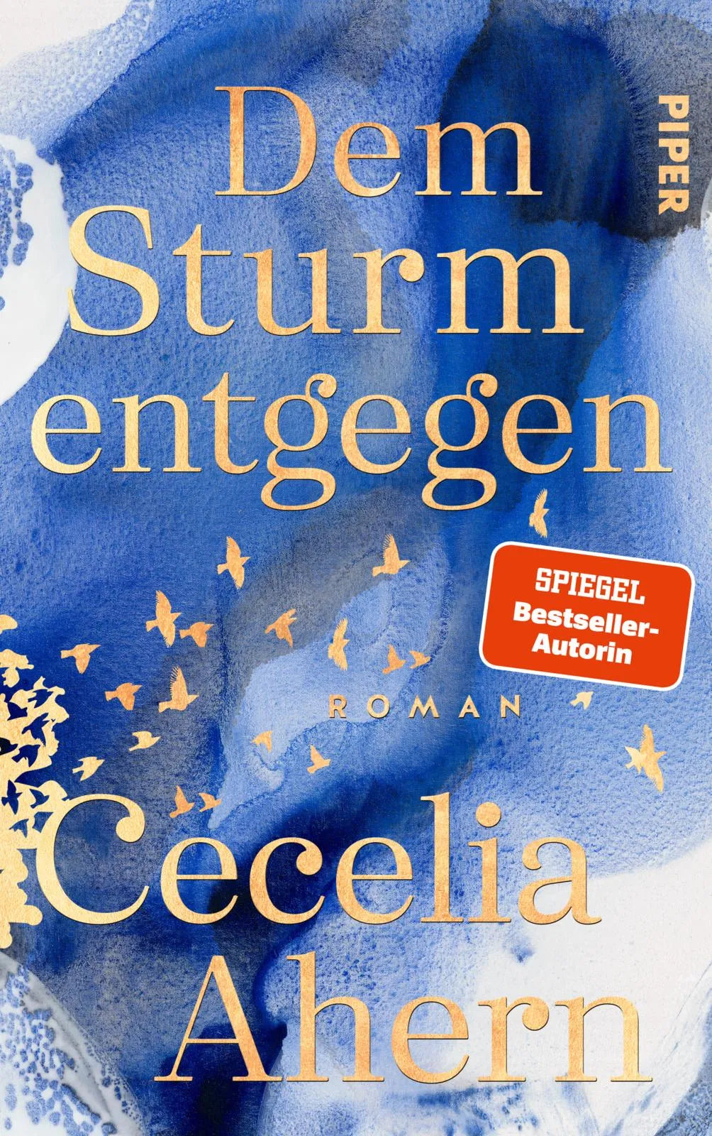 Buchcover von 'Dem Sturm entgegen' - Gebundene Ausgabe von Cecelia Ahern
