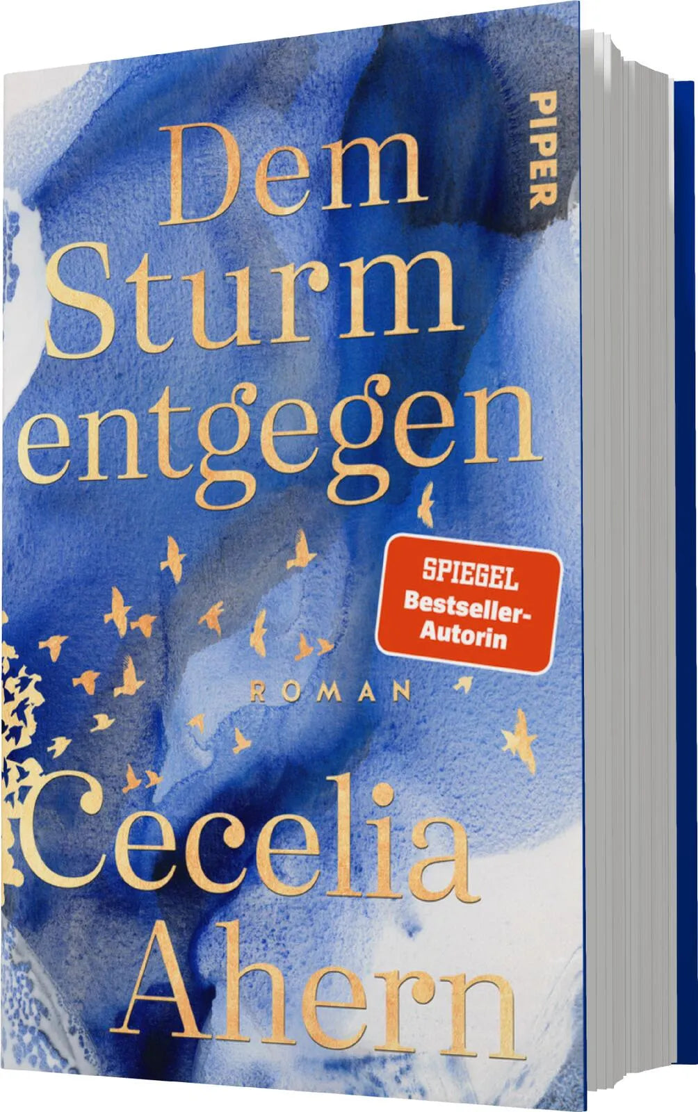 Cecelia Ahern - Dem Sturm entgegen